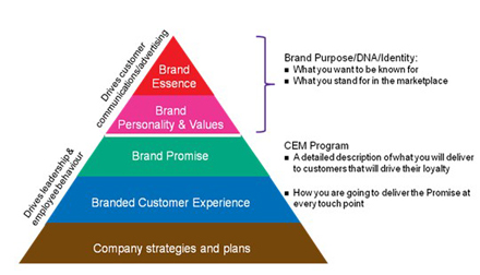 ��λ��������׌�͑��w�(y��n)�ɞ���I(y��)DNA��һ����